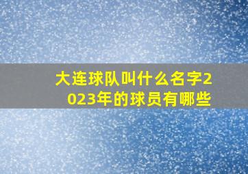 大连球队叫什么名字2023年的球员有哪些