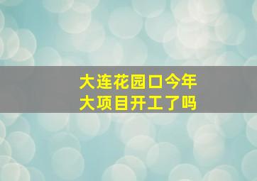 大连花园口今年大项目开工了吗