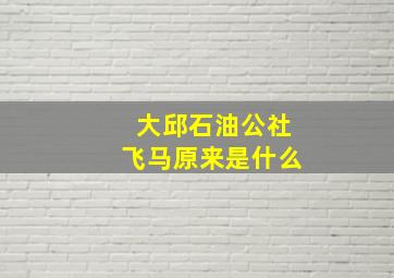 大邱石油公社飞马原来是什么