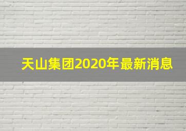 天山集团2020年最新消息