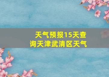 天气预报15天查询天津武清区天气