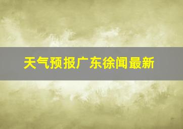 天气预报广东徐闻最新