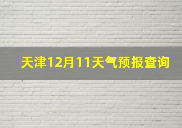 天津12月11天气预报查询