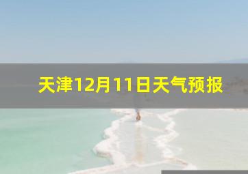 天津12月11日天气预报