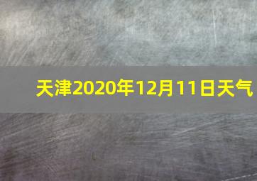 天津2020年12月11日天气