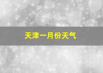 天津一月份天气