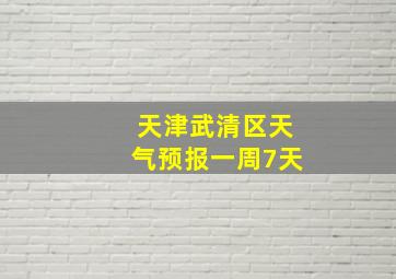 天津武清区天气预报一周7天