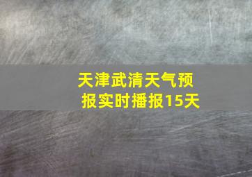 天津武清天气预报实时播报15天