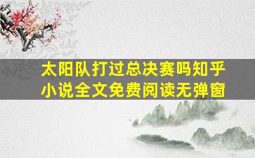 太阳队打过总决赛吗知乎小说全文免费阅读无弹窗