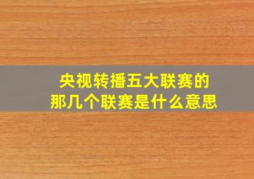 央视转播五大联赛的那几个联赛是什么意思