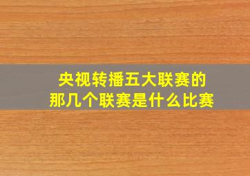 央视转播五大联赛的那几个联赛是什么比赛