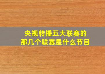 央视转播五大联赛的那几个联赛是什么节目