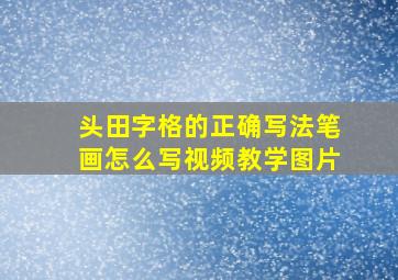 头田字格的正确写法笔画怎么写视频教学图片