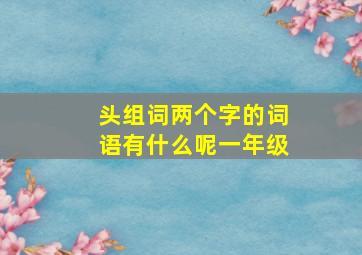 头组词两个字的词语有什么呢一年级