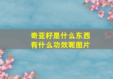 奇亚籽是什么东西有什么功效呢图片