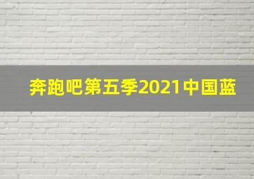 奔跑吧第五季2021中国蓝