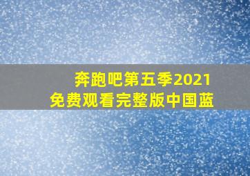 奔跑吧第五季2021免费观看完整版中国蓝