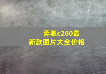 奔驰c260最新款图片大全价格