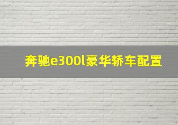 奔驰e300l豪华轿车配置