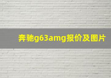 奔驰g63amg报价及图片