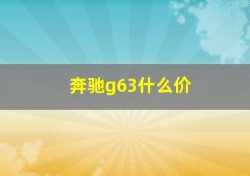 奔驰g63什么价