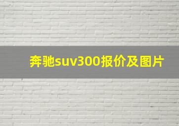 奔驰suv300报价及图片