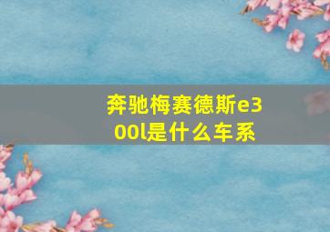 奔驰梅赛德斯e300l是什么车系