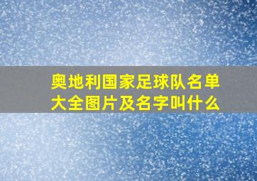 奥地利国家足球队名单大全图片及名字叫什么