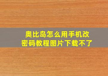 奥比岛怎么用手机改密码教程图片下载不了