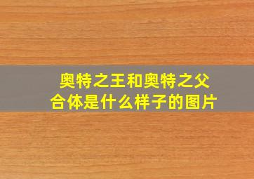 奥特之王和奥特之父合体是什么样子的图片