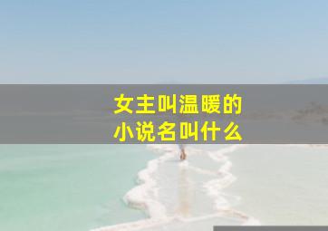 女主叫温暖的小说名叫什么