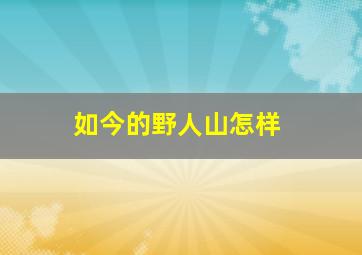 如今的野人山怎样