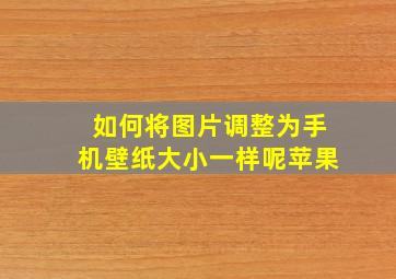 如何将图片调整为手机壁纸大小一样呢苹果