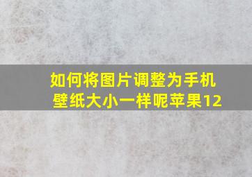 如何将图片调整为手机壁纸大小一样呢苹果12