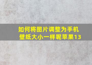 如何将图片调整为手机壁纸大小一样呢苹果13