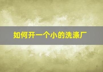 如何开一个小的洗涤厂