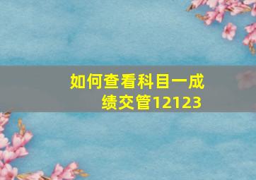 如何查看科目一成绩交管12123