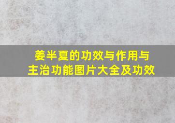 姜半夏的功效与作用与主治功能图片大全及功效