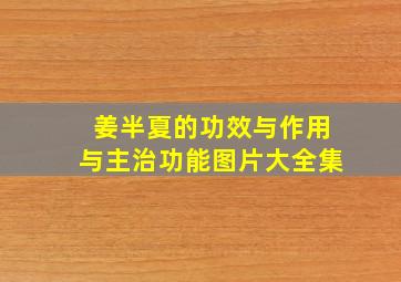 姜半夏的功效与作用与主治功能图片大全集