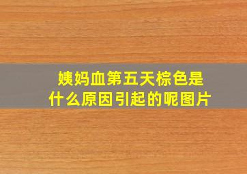 姨妈血第五天棕色是什么原因引起的呢图片