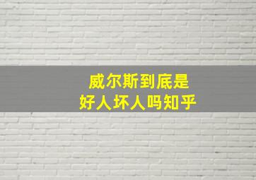 威尔斯到底是好人坏人吗知乎