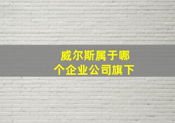 威尔斯属于哪个企业公司旗下