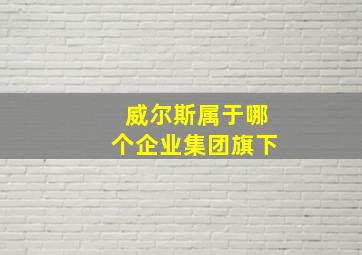 威尔斯属于哪个企业集团旗下