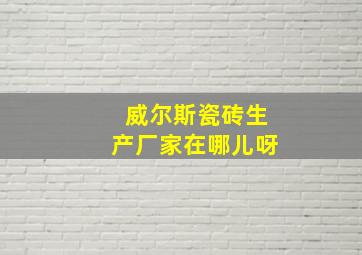 威尔斯瓷砖生产厂家在哪儿呀