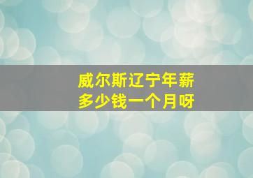 威尔斯辽宁年薪多少钱一个月呀