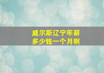 威尔斯辽宁年薪多少钱一个月啊