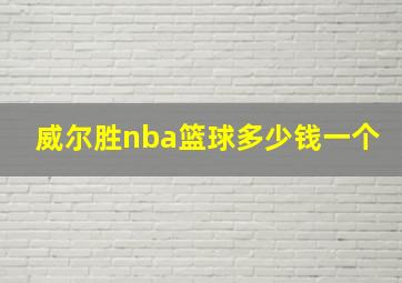 威尔胜nba篮球多少钱一个