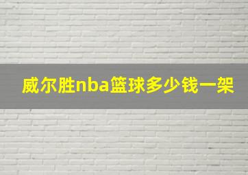 威尔胜nba篮球多少钱一架