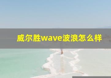 威尔胜wave波浪怎么样