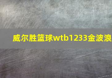 威尔胜篮球wtb1233金波浪